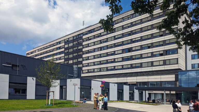 Projekt